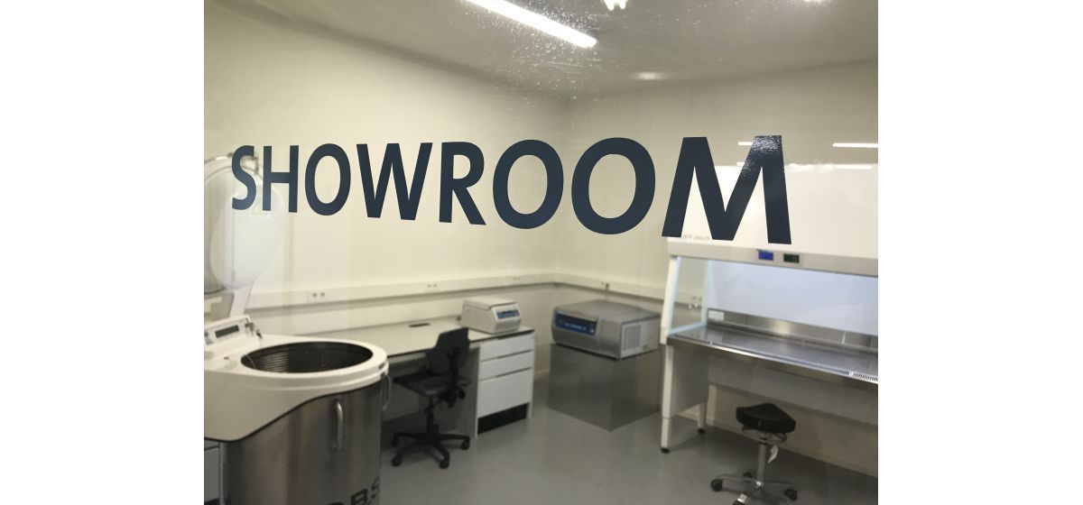 Showroom-Poly Temp
