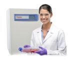 Model with Forma SteriCycle i250