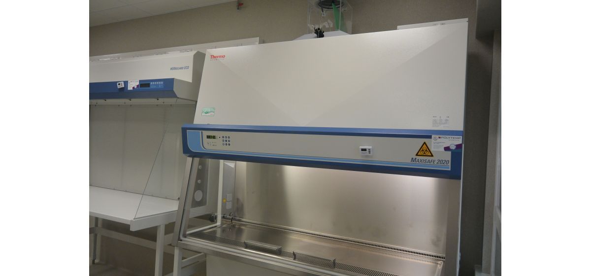 dsc-2329