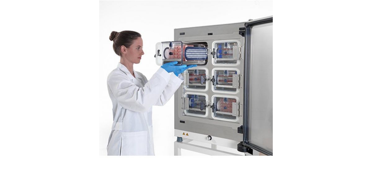 cell-locker-incubator-putting-in-plates-500x500.jpg-650