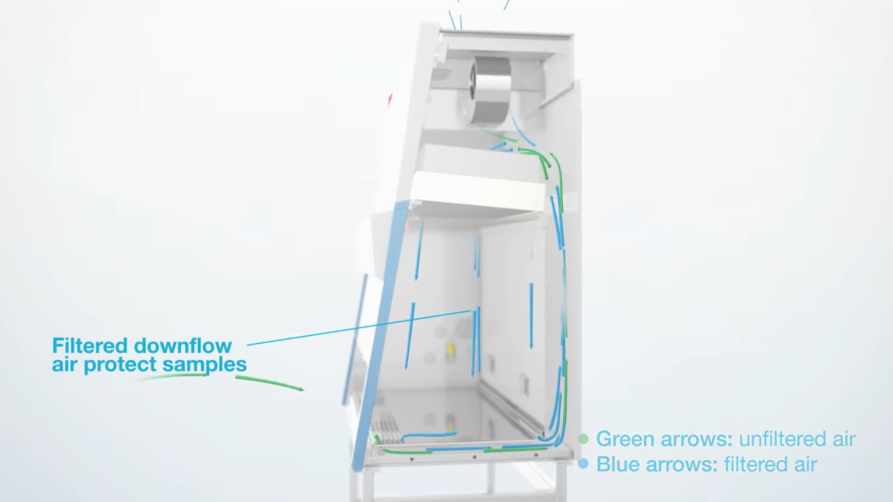 Video Thermo Scientific BSC animation