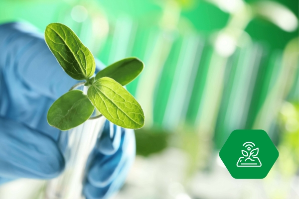 Laboratory equipment for agriculture and horticulture research