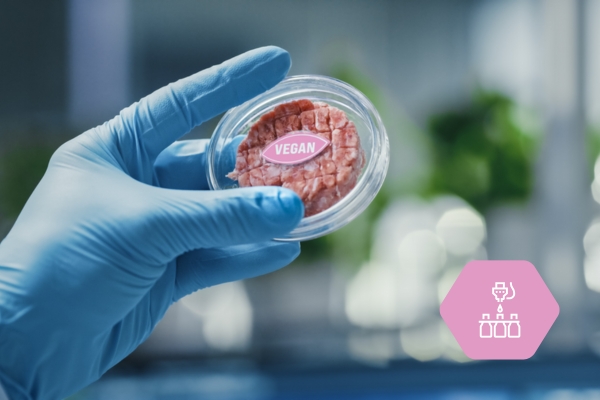 Laboratory equipment for quality control in the food industry